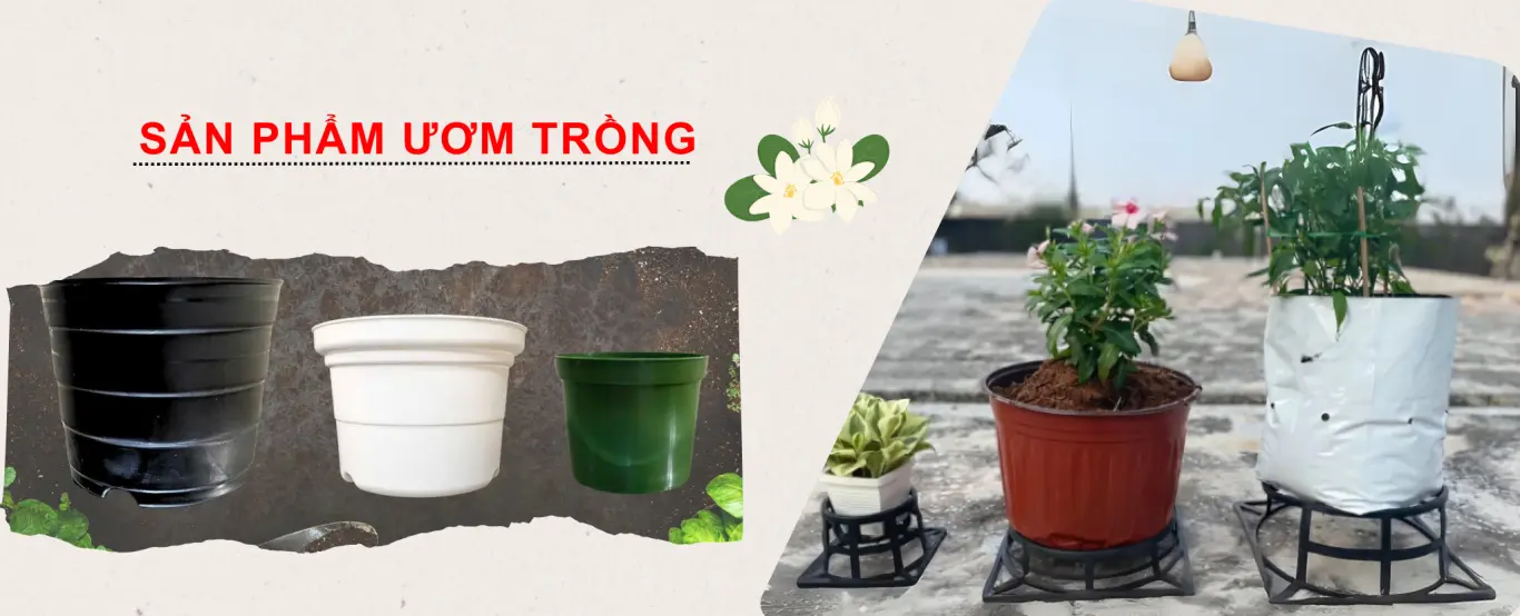 SẢN PHẨM ƯƠM TRỒNG